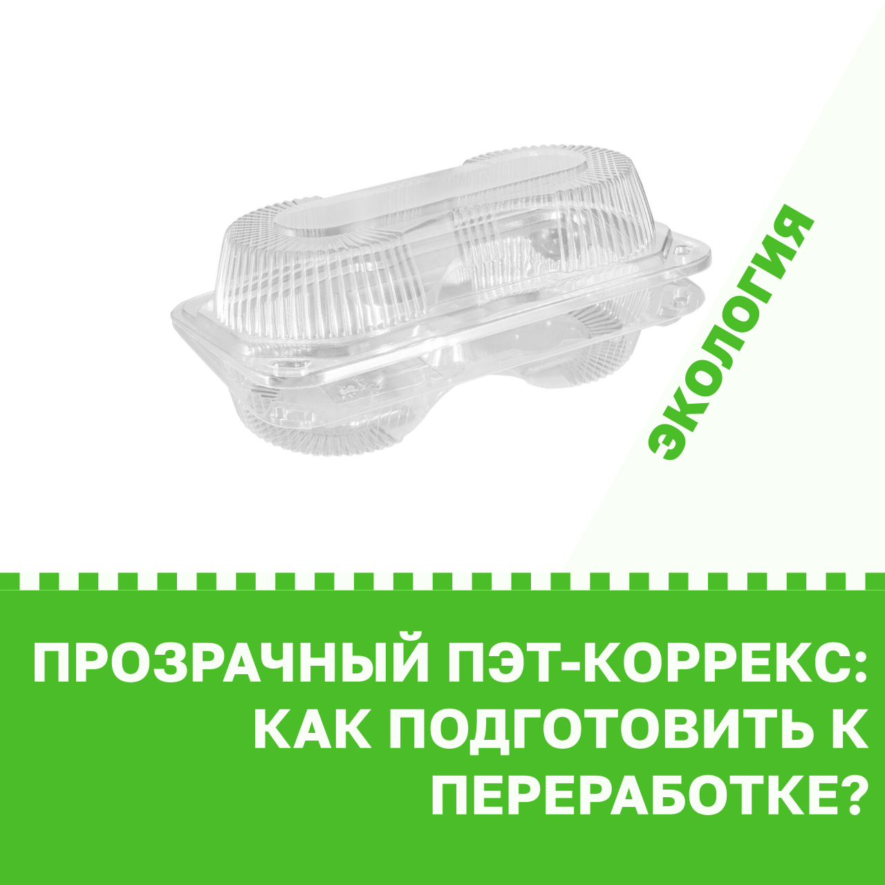 sovet-pet-korreks-kak-podgotovit-01.png