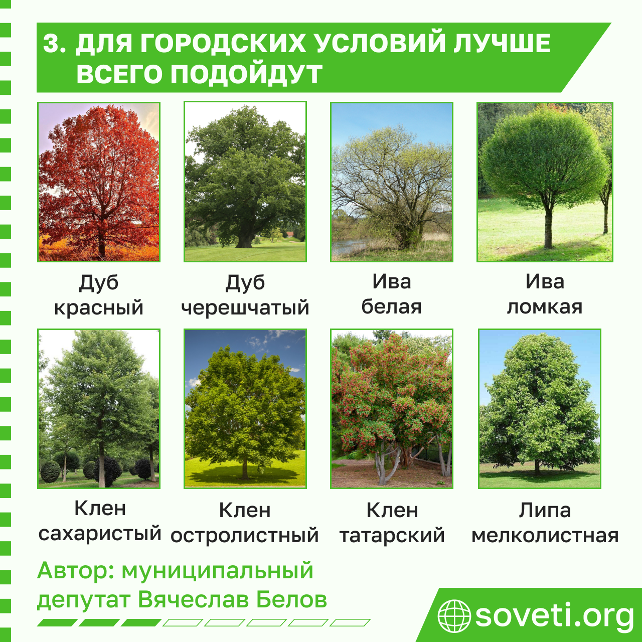 Sovet dopolnitelnoe ozelenenie dvora kak dobitsya 04.png